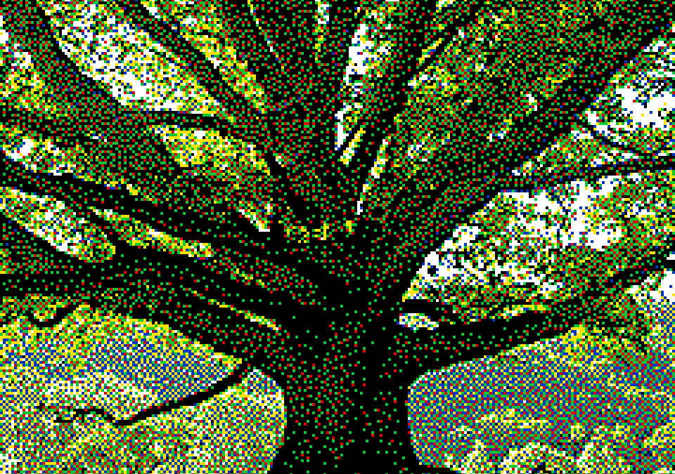 Quercia
